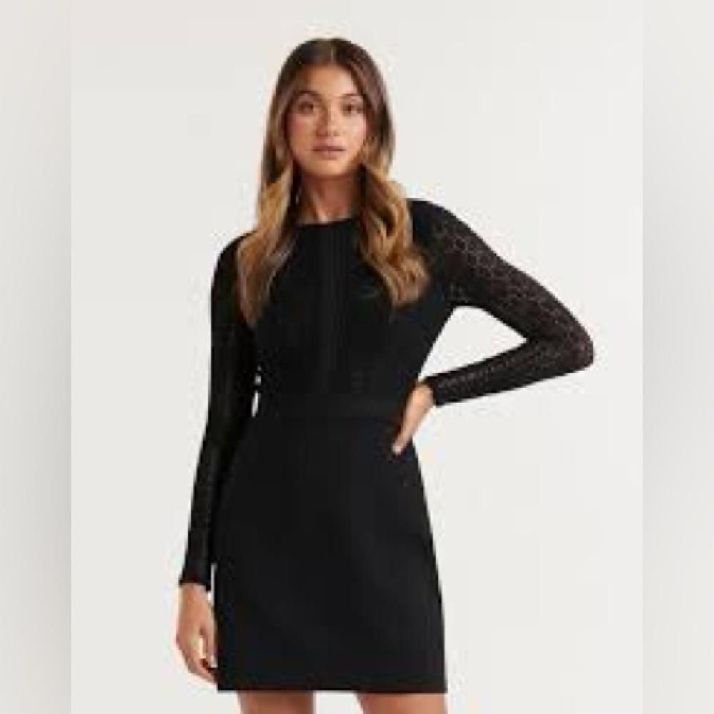 EVER NEW Lace Mini Dress